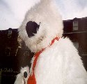 kelly-pnoel4.jpg